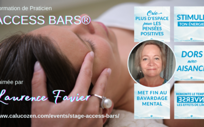 Stage de Praticien Access Bars® avec Laurence Favier